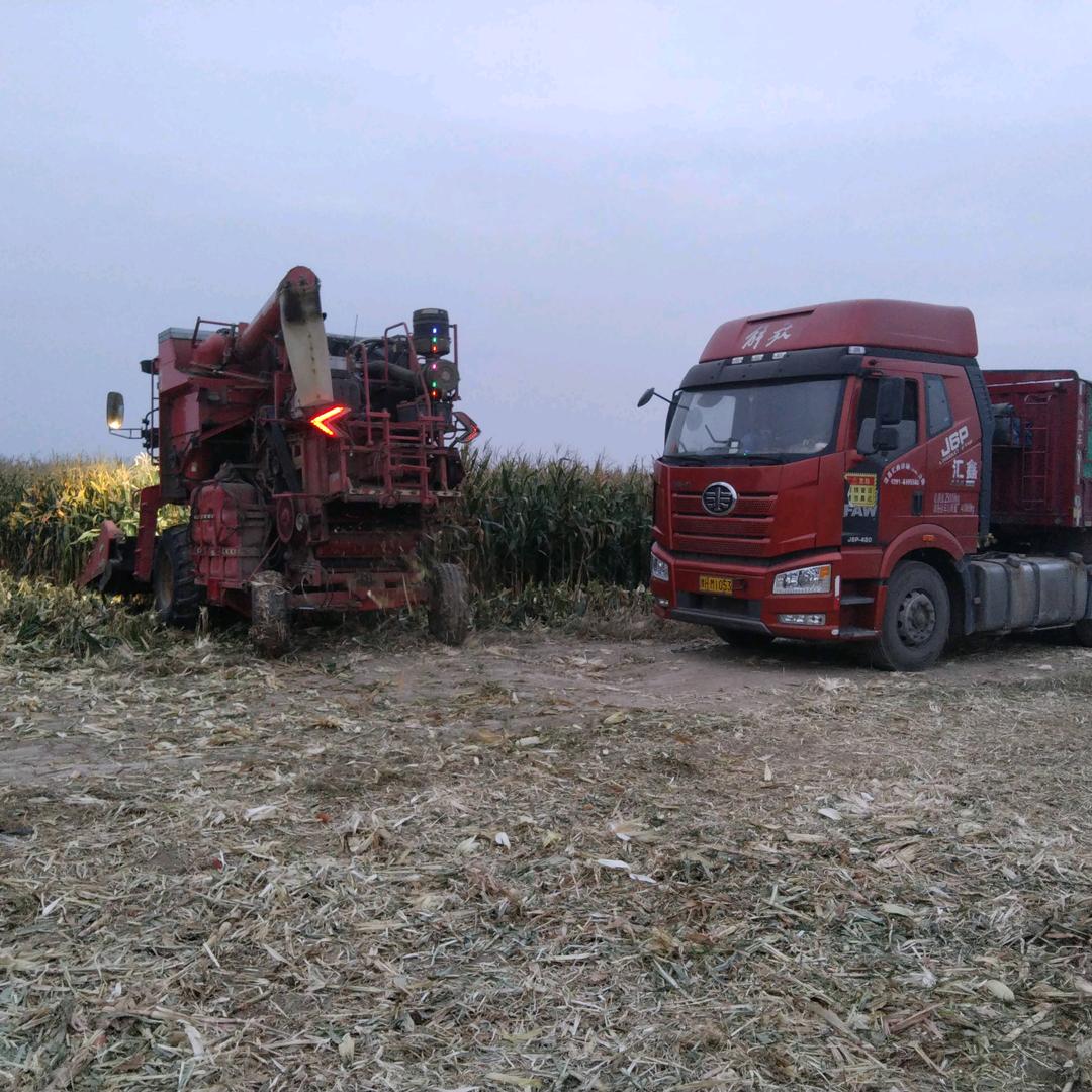 不闻过往，只求未知