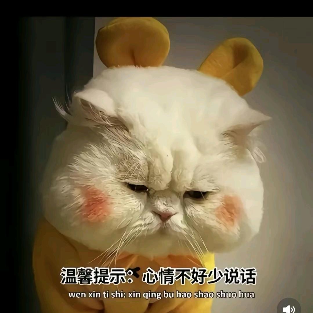 雨后的彩虹🌹