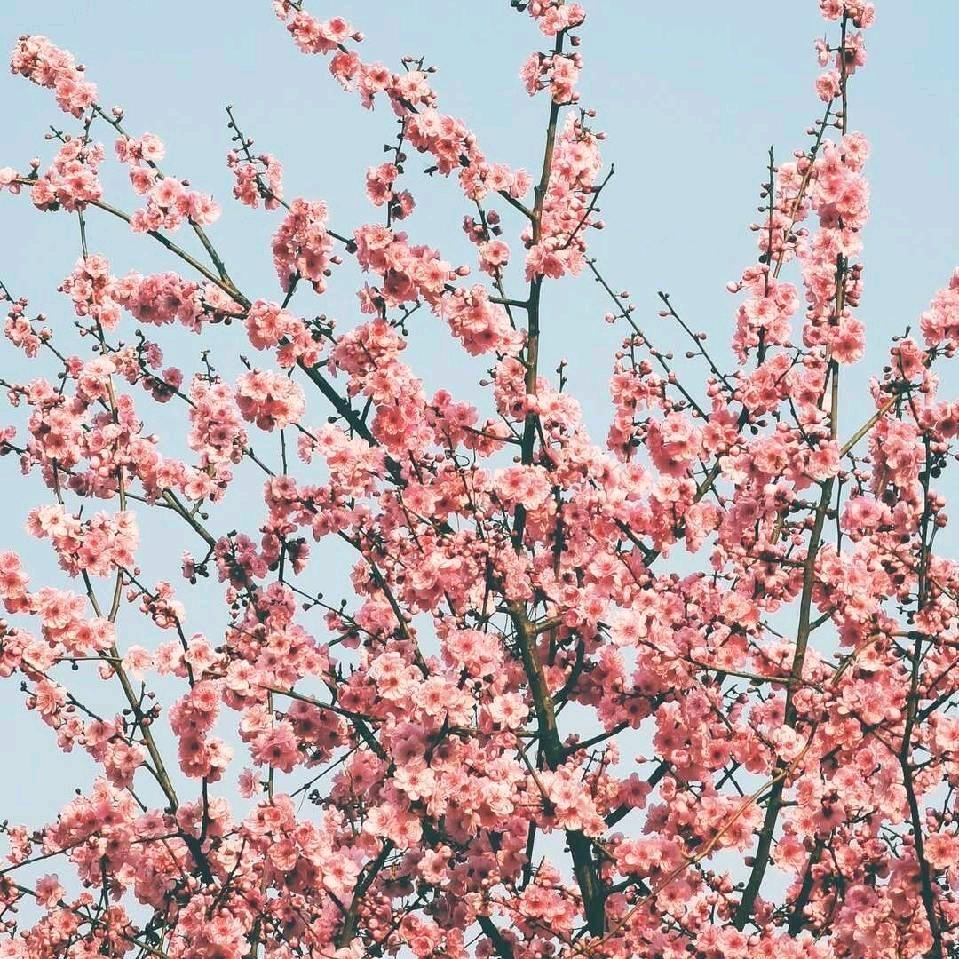 &贵州¥幺哥$
