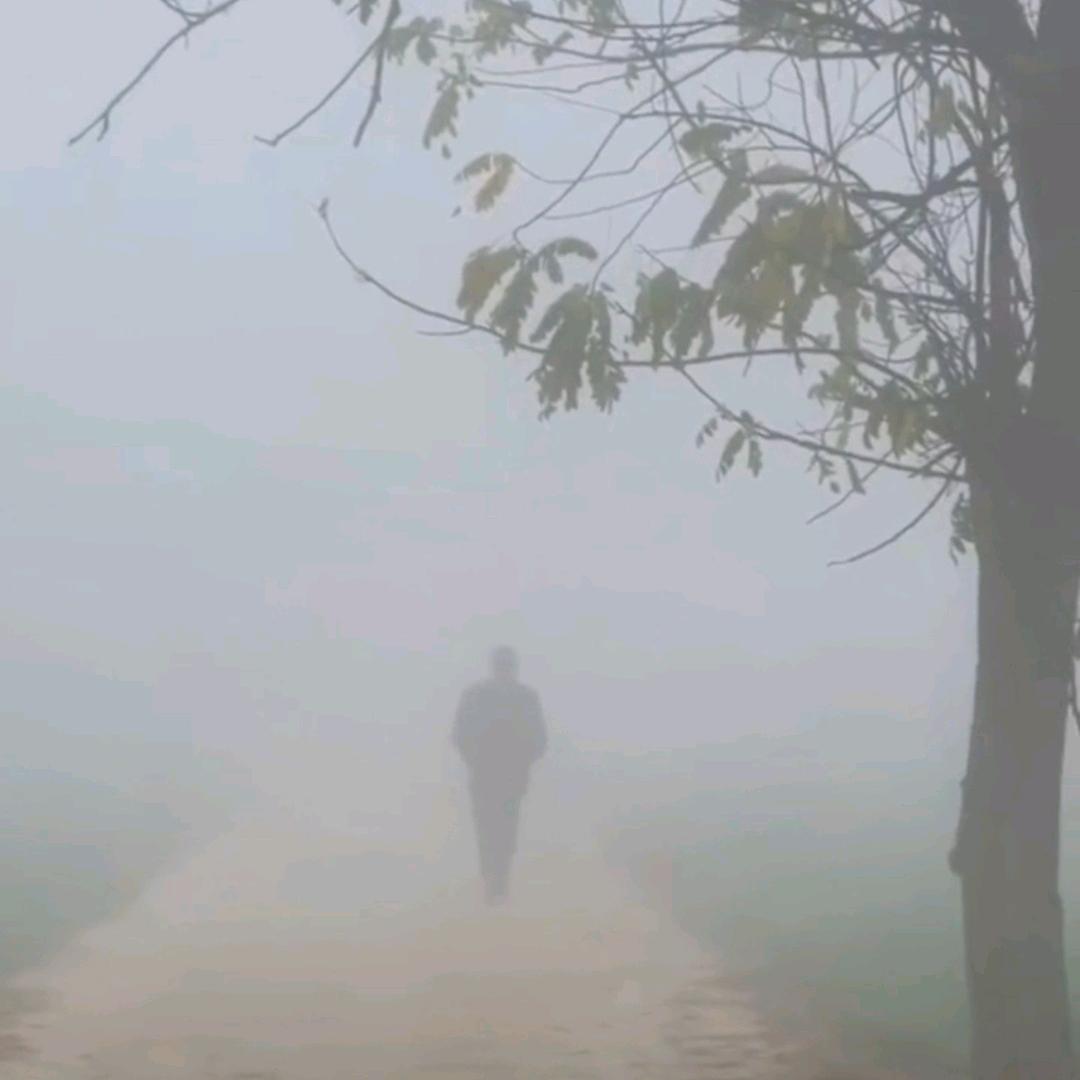 向把头