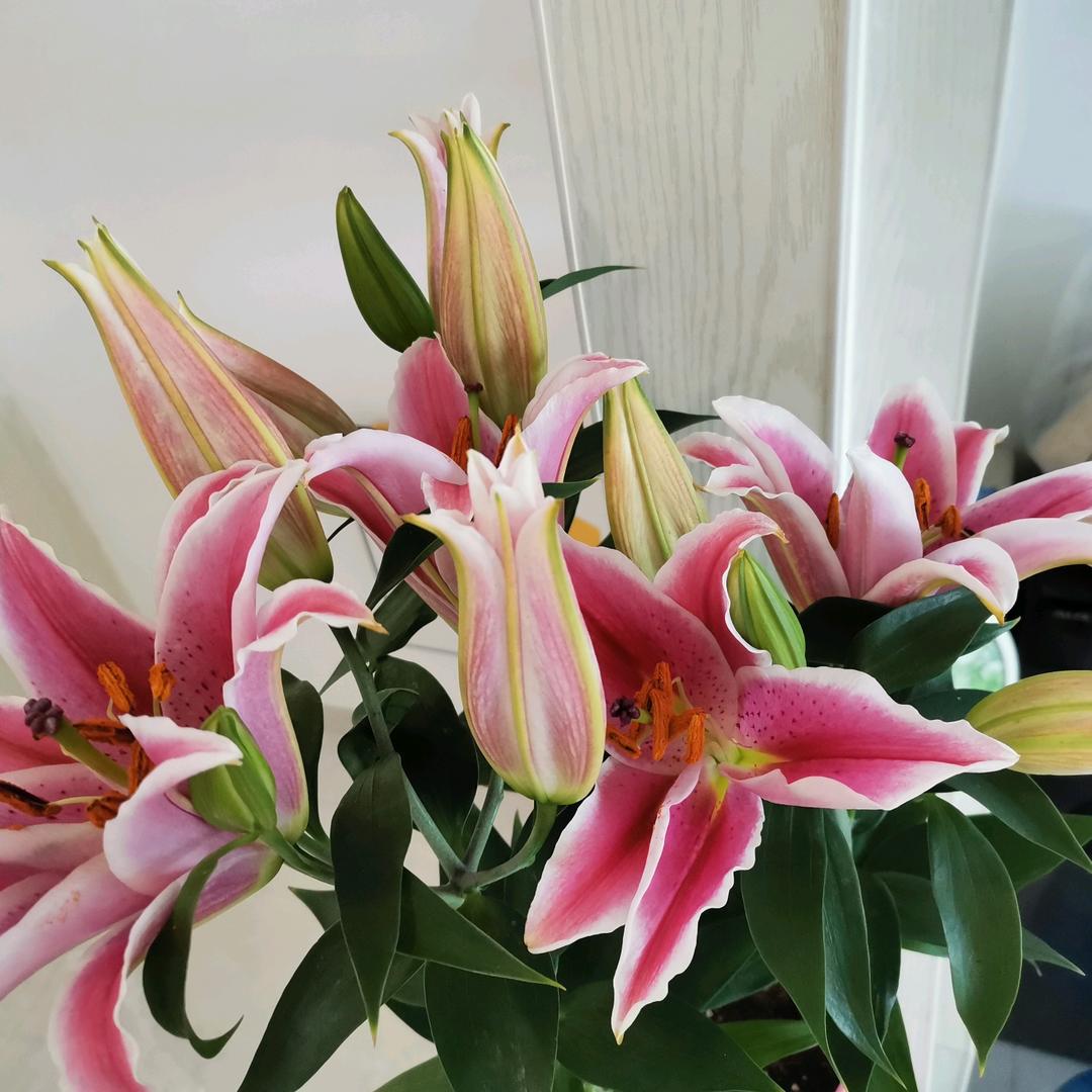 (｡･ω･｡)ﾉ♡