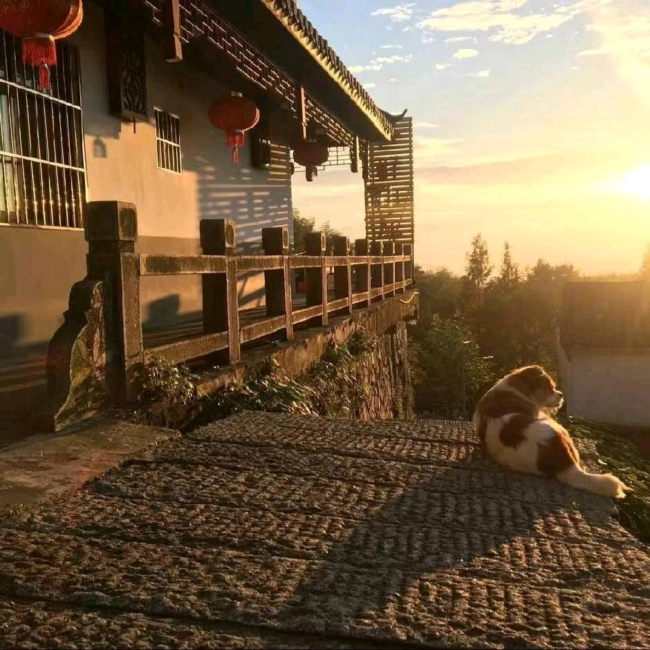 冰戈帅总