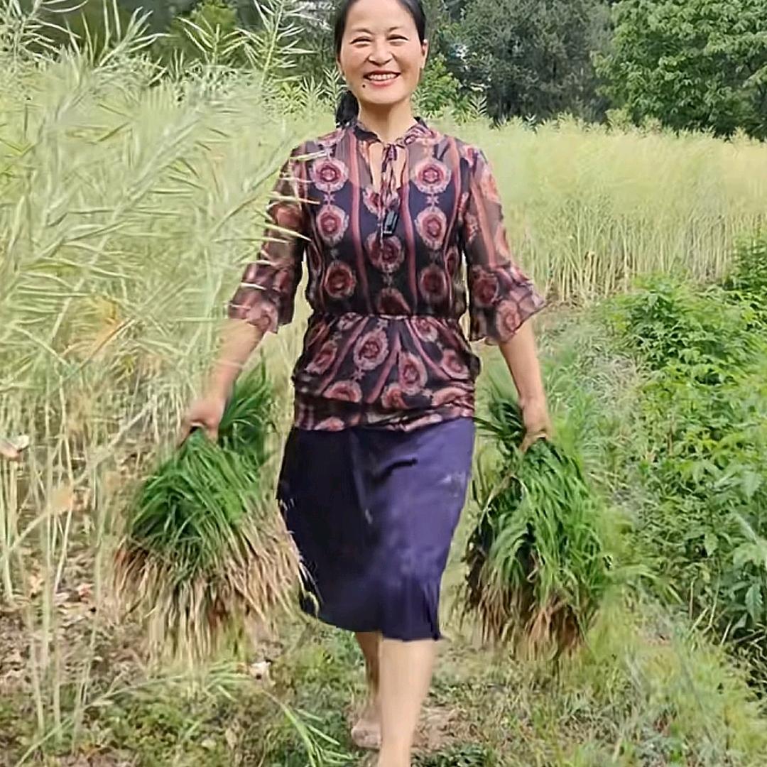 梨乡小杜