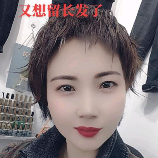 四季美人
