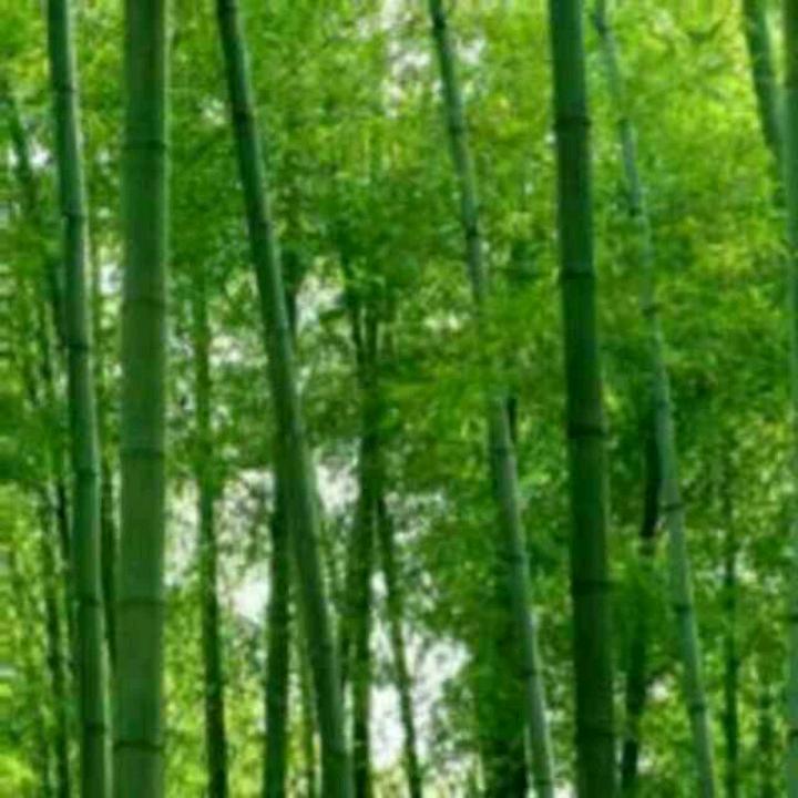 快乐每一天