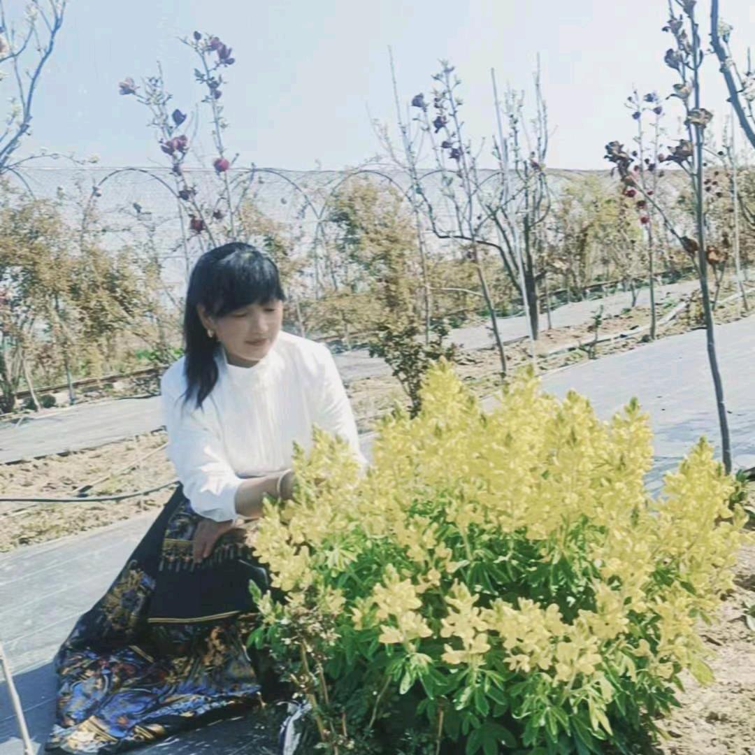幸福的女人