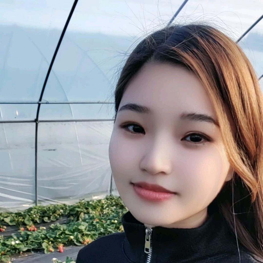 🍁小许子