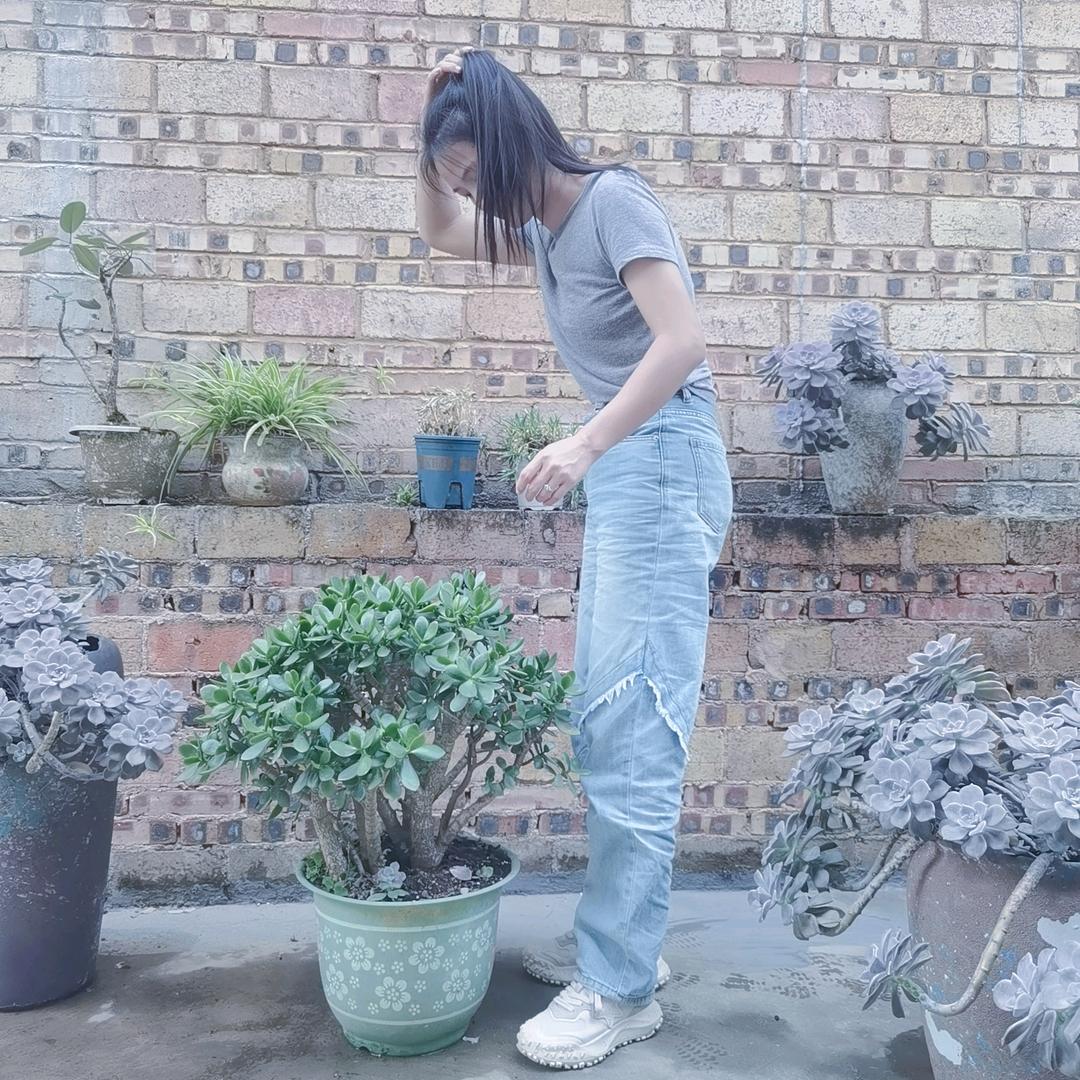 🌴不晚
