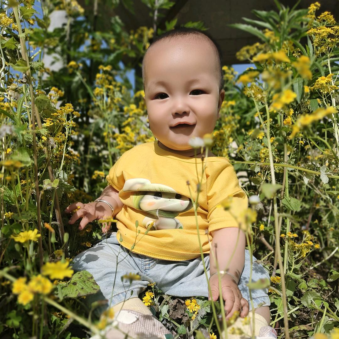 邹邹(˵¯͒〰¯͒˵)有钱花🌸