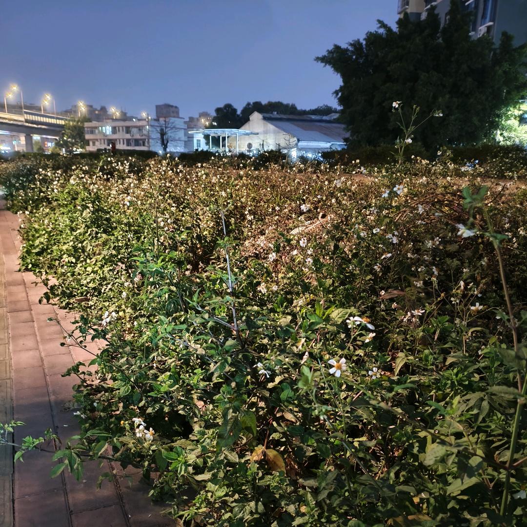 胃口比较好