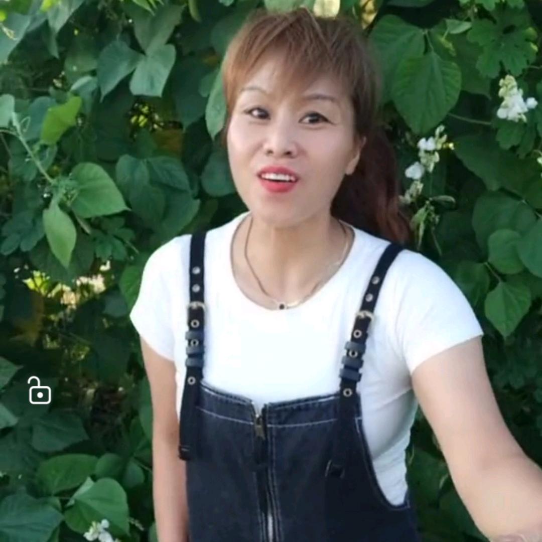 百亩瓜果蔬菜基地_
