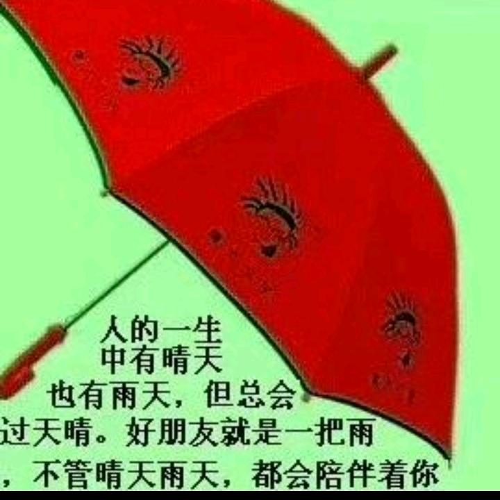 朱