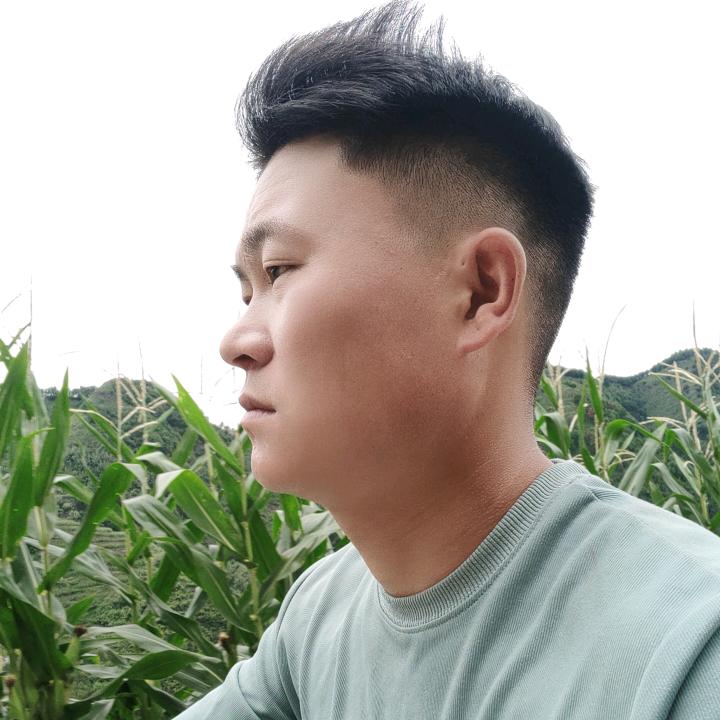单身小杨