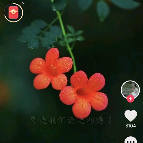 邵小明模具