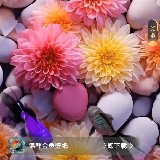 让心归零⭐