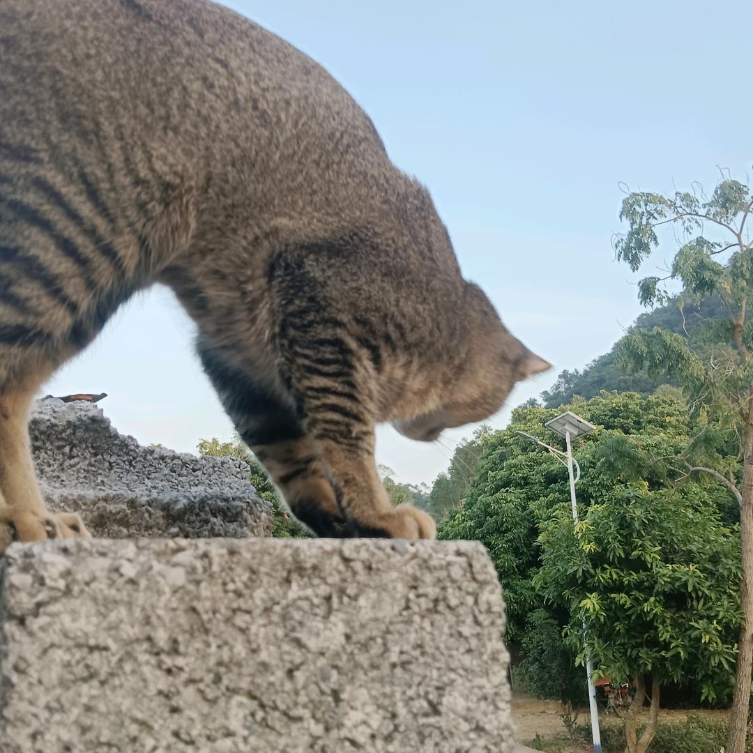 老头子