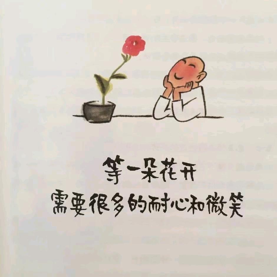 骏马的智慧生活