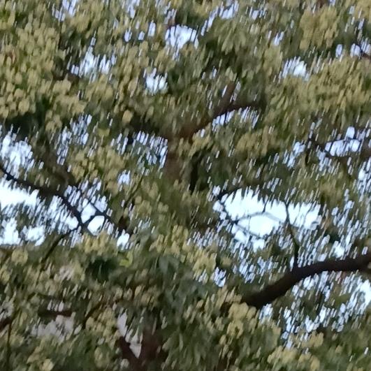 饶氏，欢迎五湖四海饶姓加入