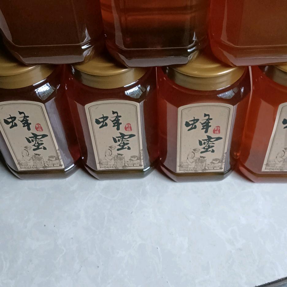 采山药