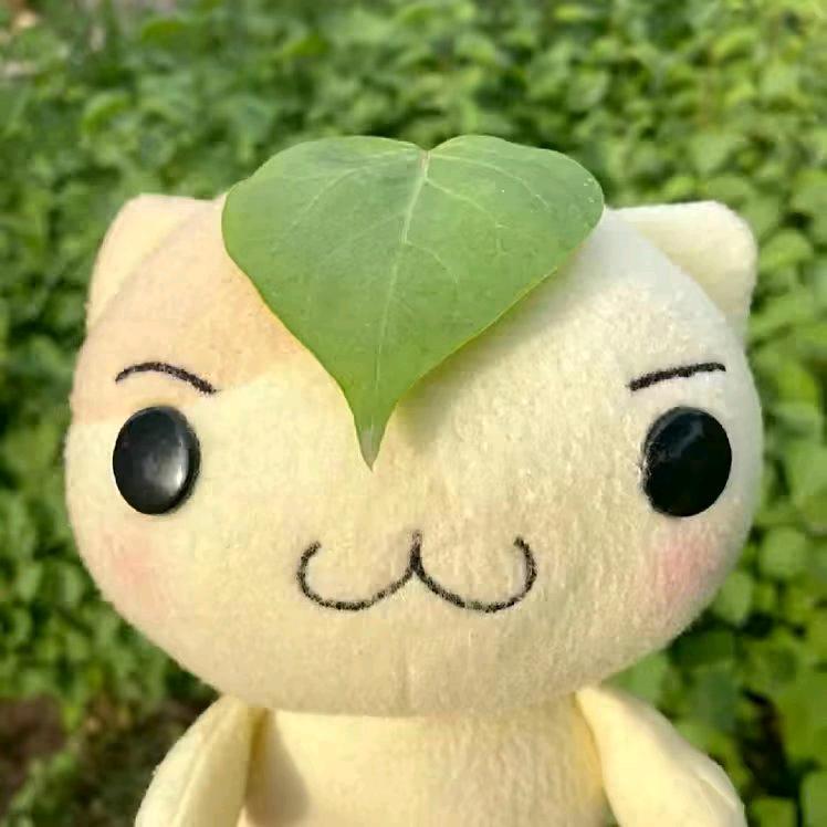 如果你懂我的悲伤