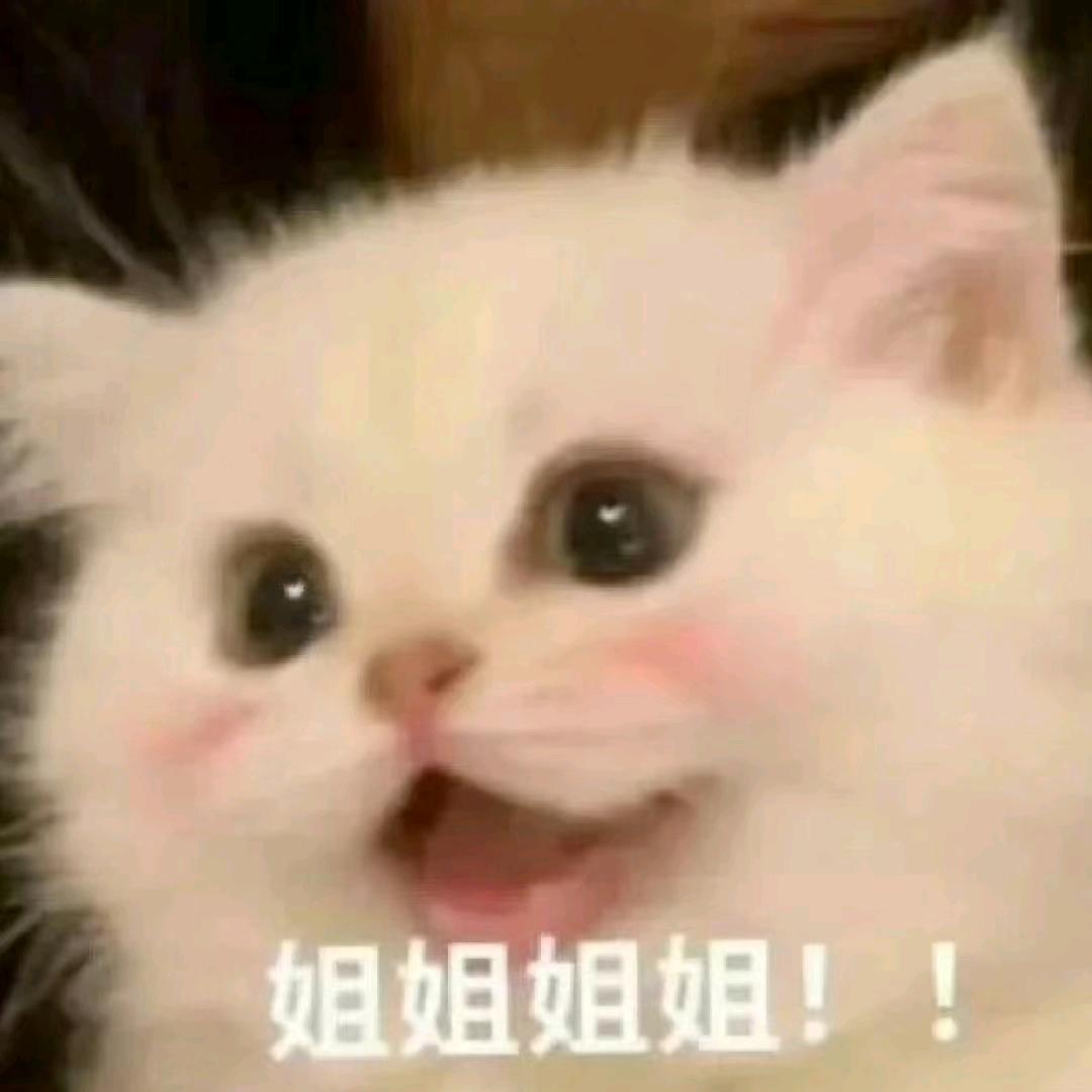 悲伤的螺蛳粉