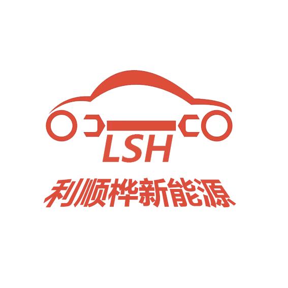 利顺桦电车维修