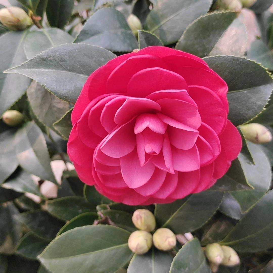 象州县石龙镇界团农机修理部