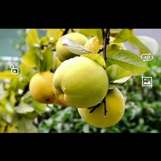 徐天华X小窖酒作坊！天华家庭农场