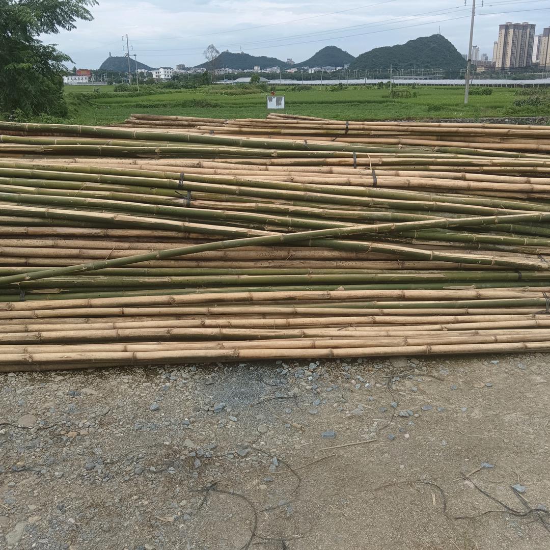 广西的哥哥