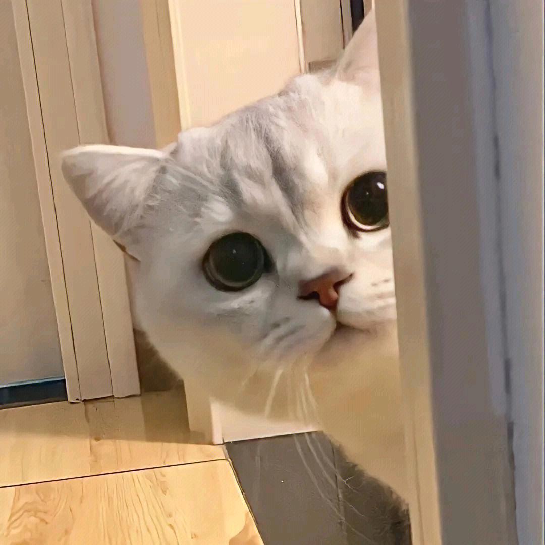 措措❣好物分享