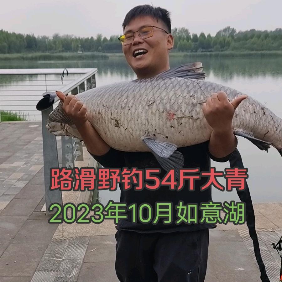 小付路滑钓鱼【傅氏钓法】
