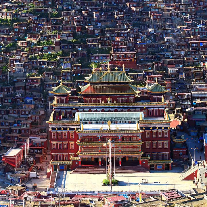 世纪城店小张哥