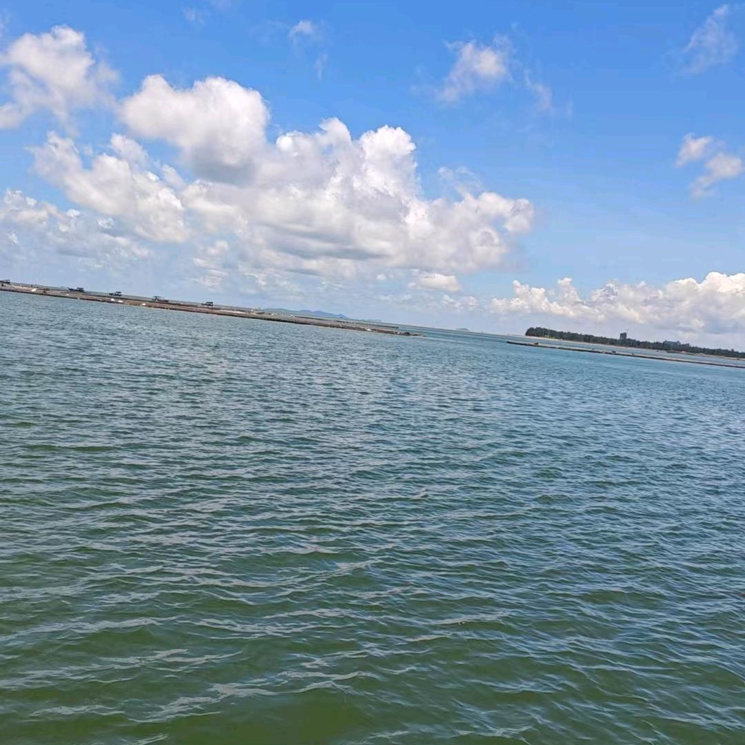 这是一个悲伤的故事！