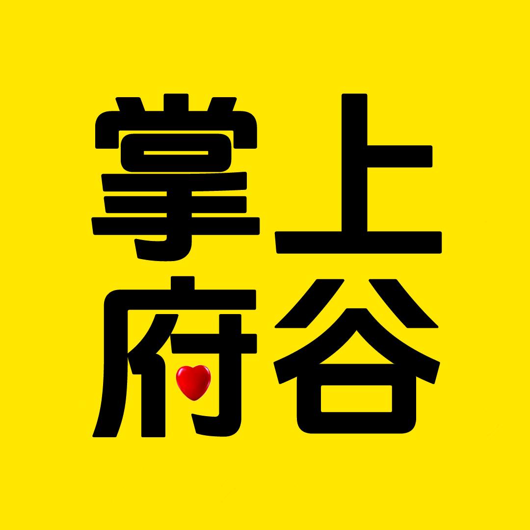 掌上府谷
