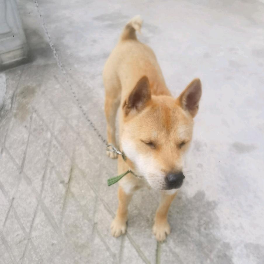 贵州空压机阳春林