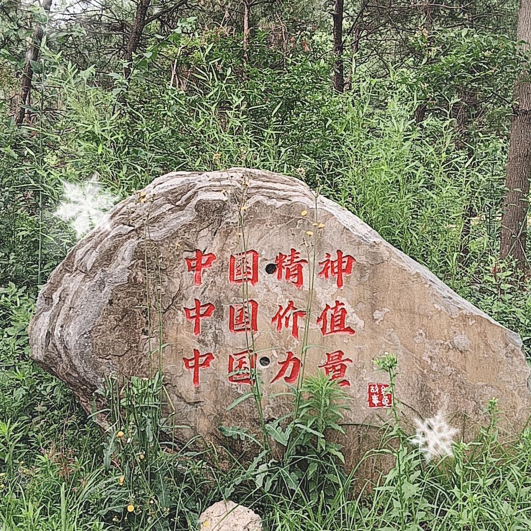 吴总