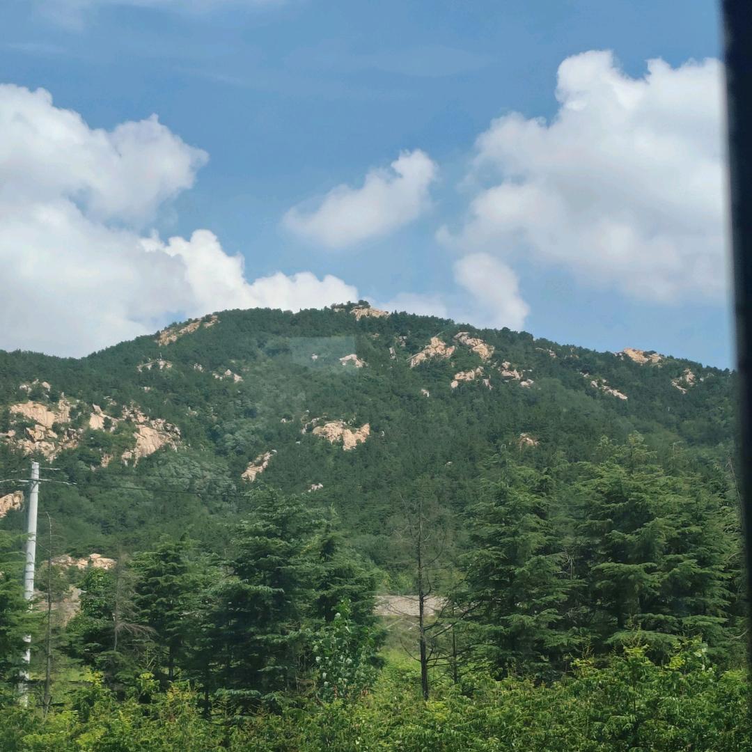 柠檬