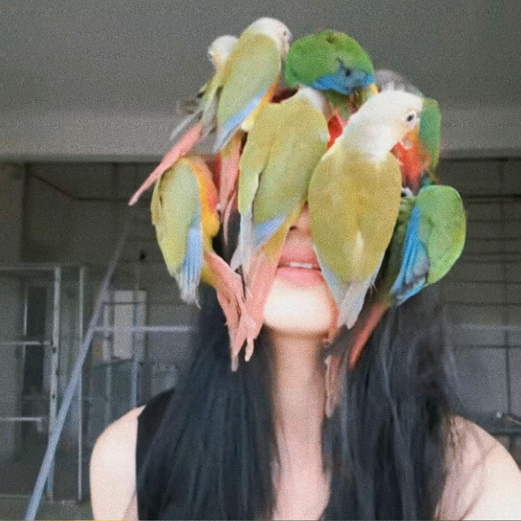 橙子小姐🍊