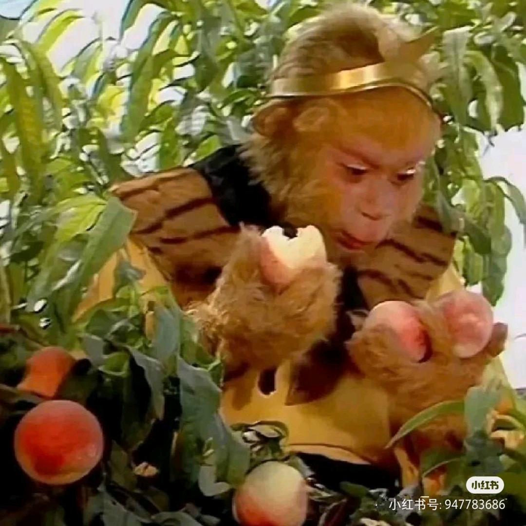 满山的猴子我腚最红