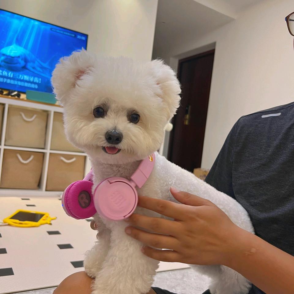 四川迈特威宠业