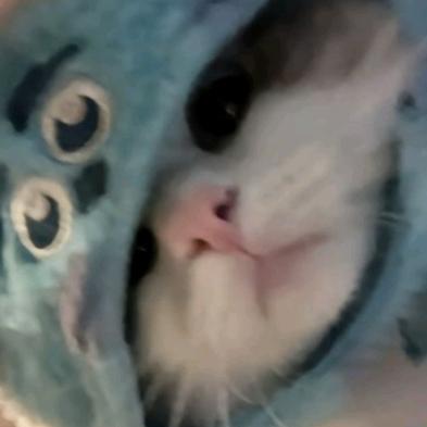 钟三晚