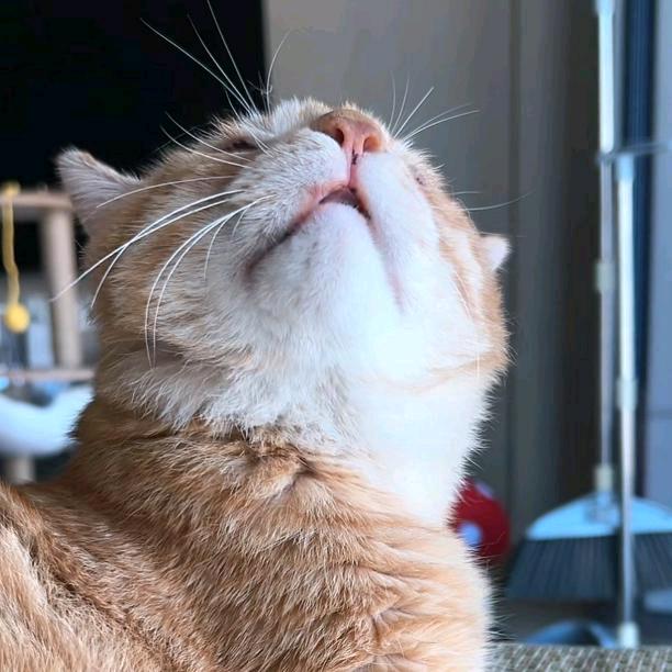 小小的勇气˙ᵕ˙ᰔᩚ