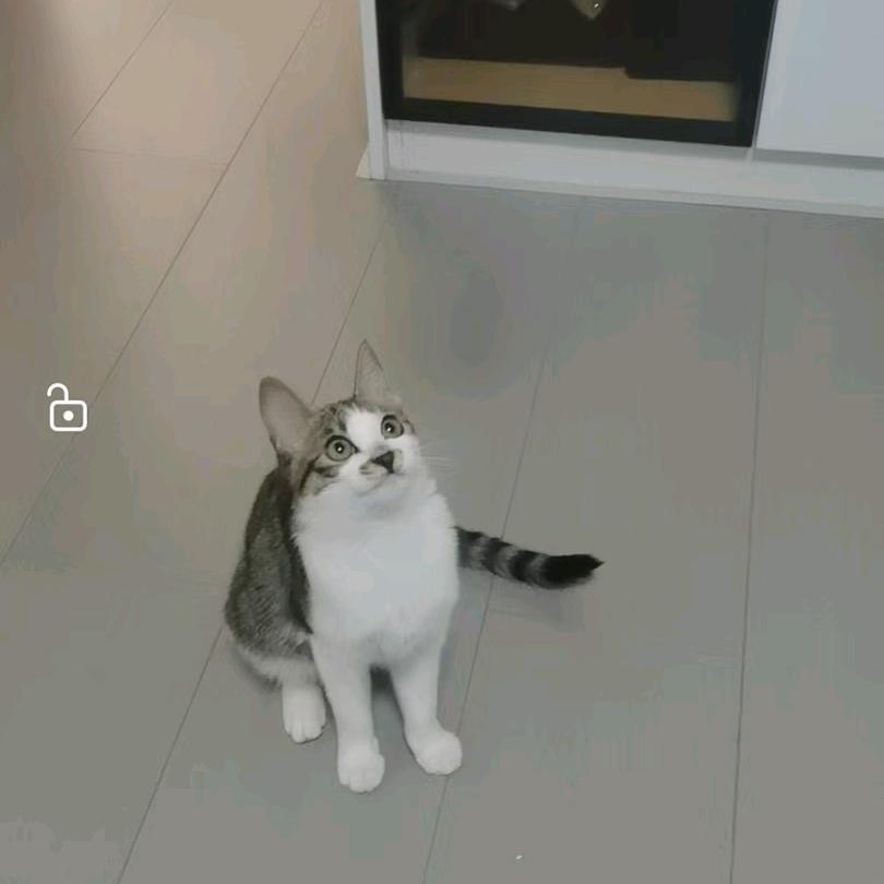 摆渡人刘兴保