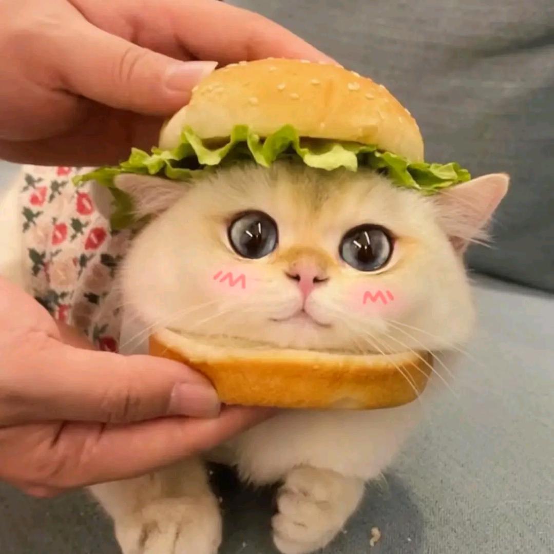 是h