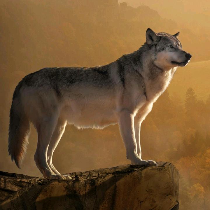 这个事情应该是我干的吗？