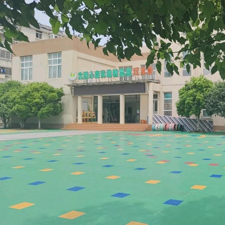 合肥小森林双凤幼儿园
