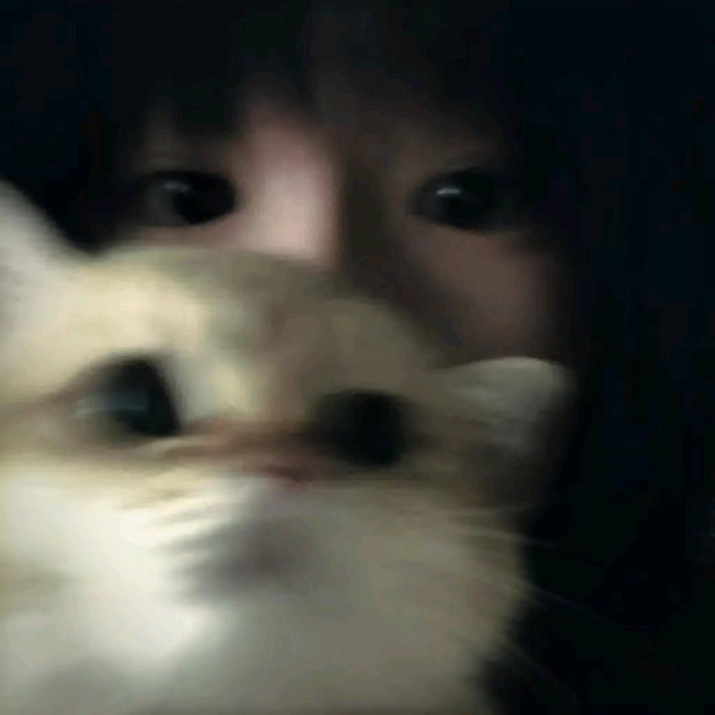 一秒入睡.