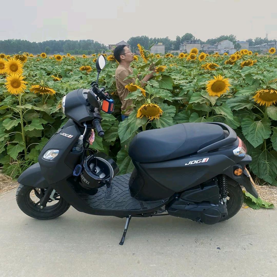 一个骑士的秋天