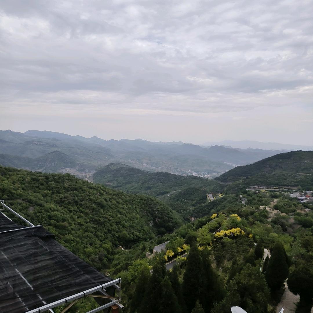 前程似锦