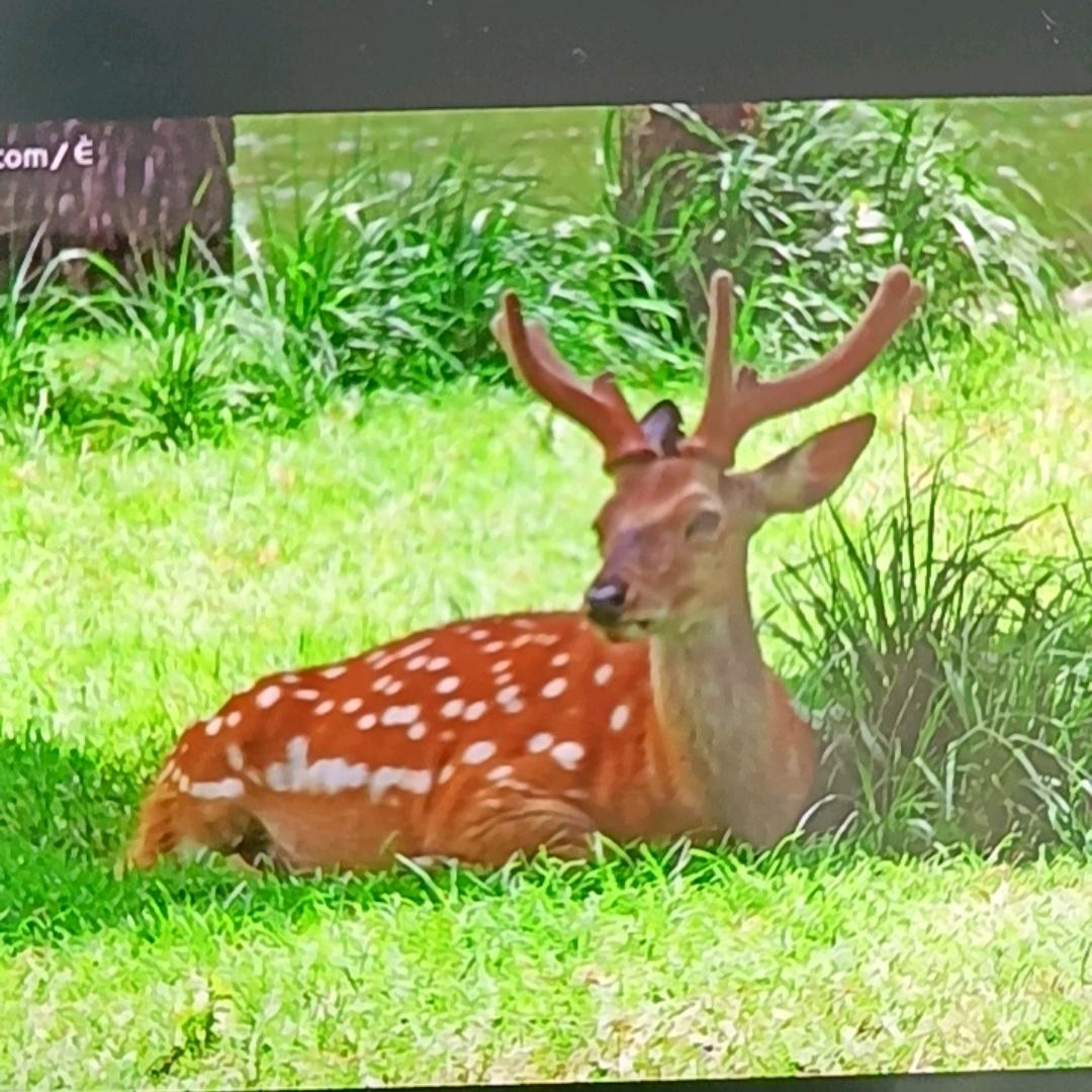 幸福生活1